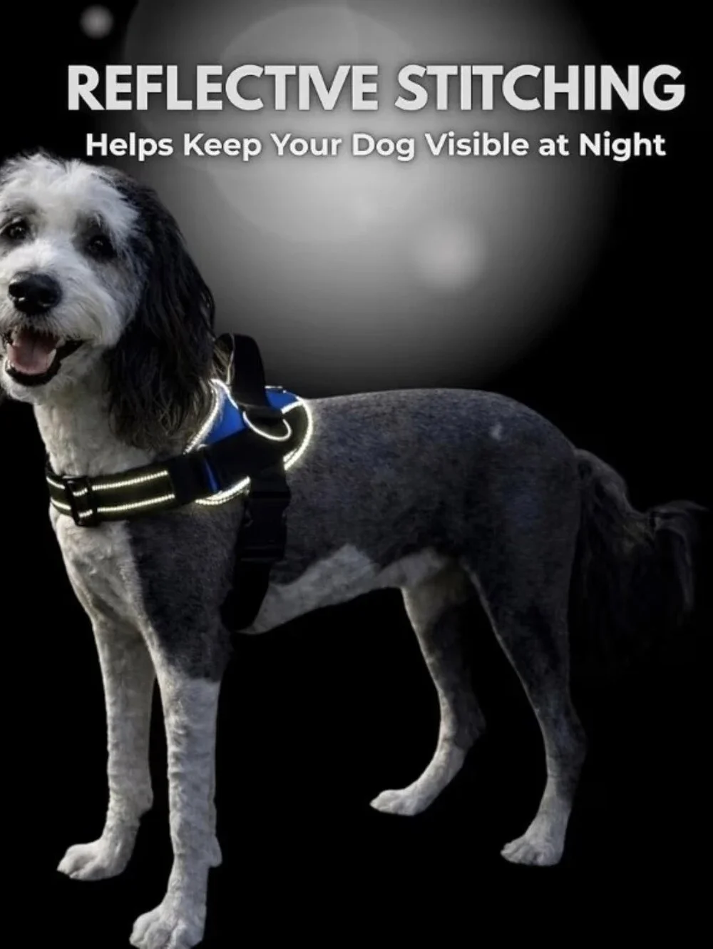 Heavy-Duty Dog No-Pull Harness